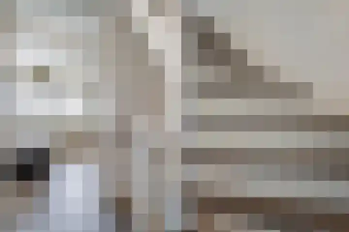 Gouverneurlaan 39 Zwolle thumbnail 22
