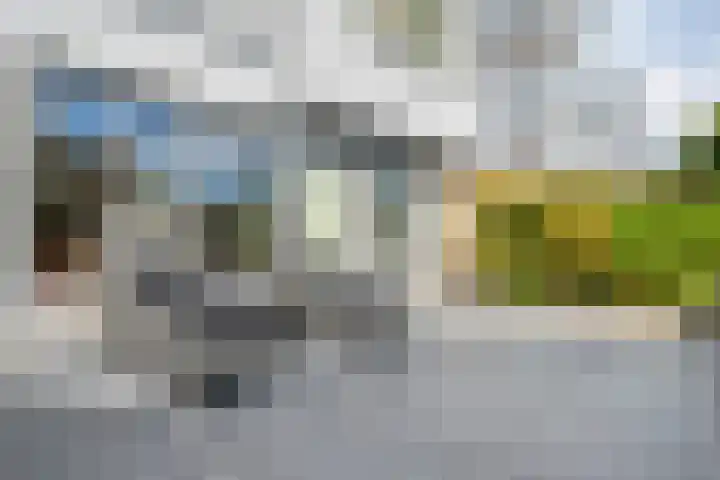 Gouverneurlaan 39 Zwolle thumbnail 30