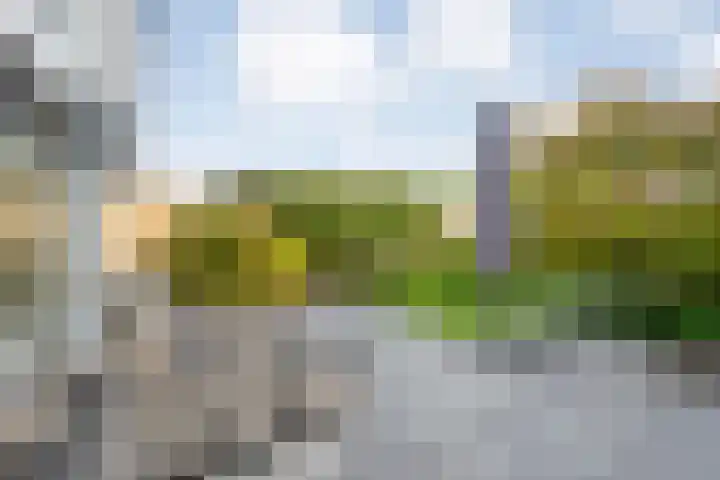 Gouverneurlaan 39 Zwolle thumbnail 31