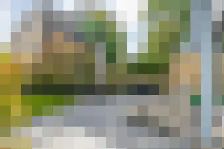 Gouverneurlaan 39 Zwolle thumbnail 32