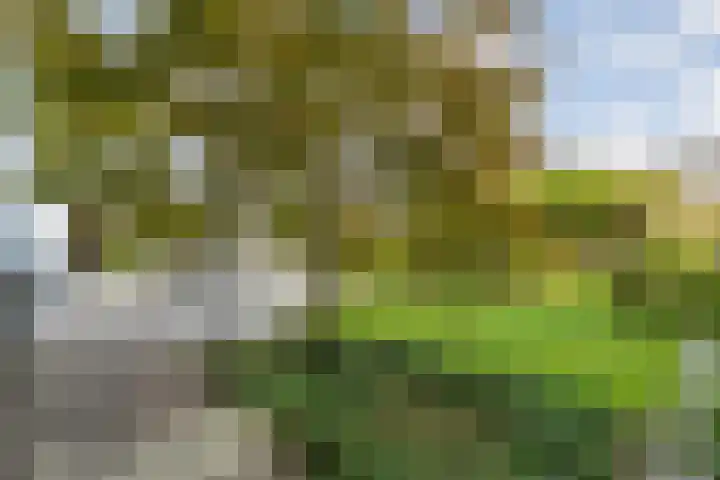 Gouverneurlaan 39 Zwolle thumbnail 34