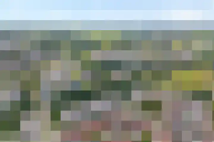 Gouverneurlaan 39 Zwolle thumbnail 39