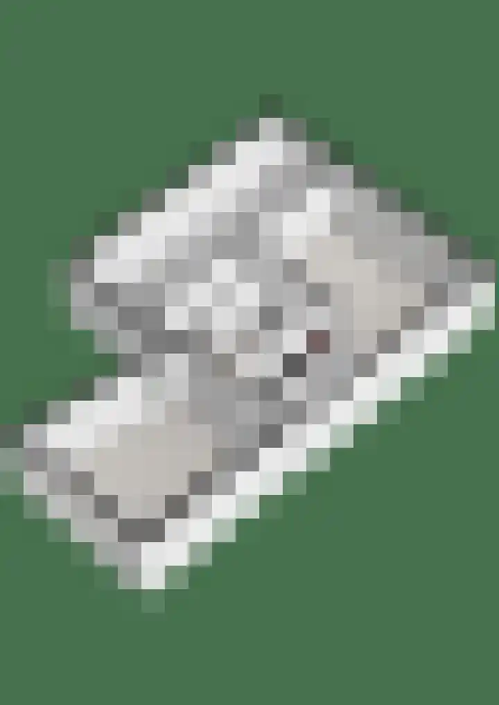 Gouverneurlaan 39 Zwolle thumbnail 43