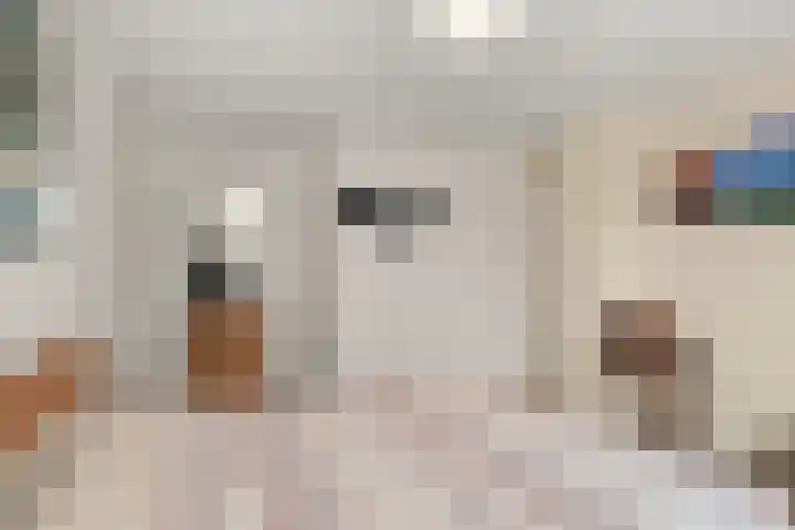 Gouverneurslaan 12 Veenendaal thumbnail 20
