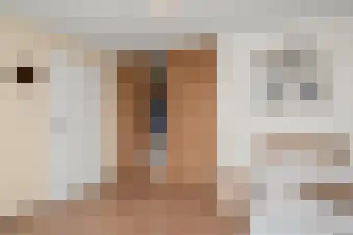 Gouverneurslaan 12 Veenendaal thumbnail 26