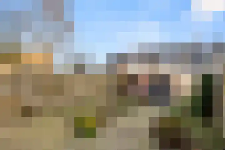 Gouverneurslaan 12 Veenendaal thumbnail 32