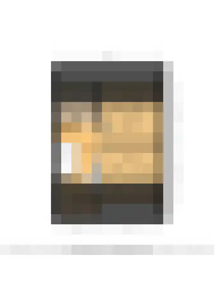 Gouverneurslaan 12 Veenendaal thumbnail 46