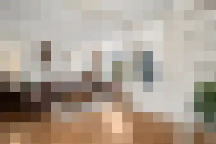 Gouverneurslaan 12 Veenendaal thumbnail 6