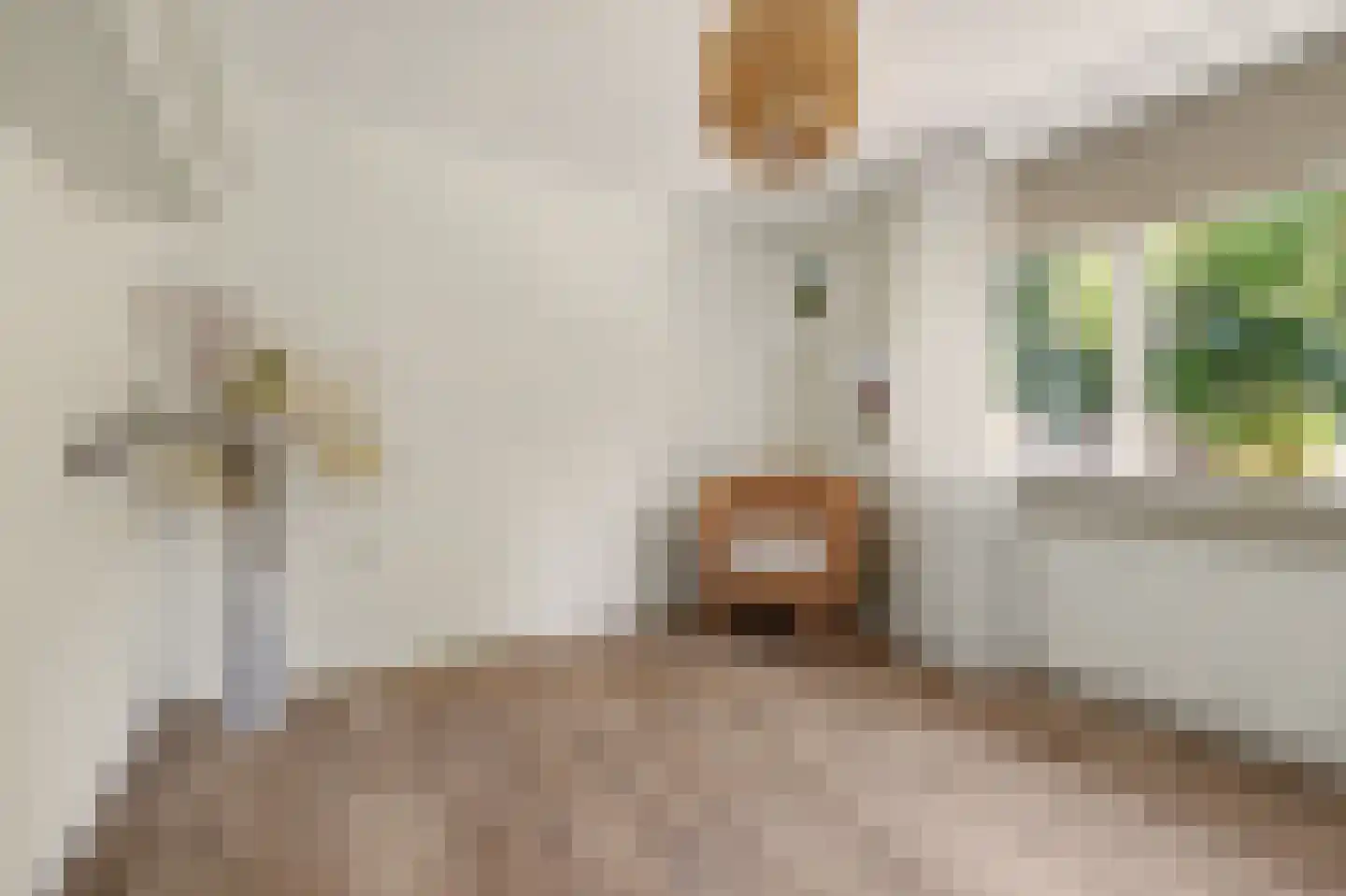 Gouverneurslaan 17 Geertruidenberg thumbnail 16