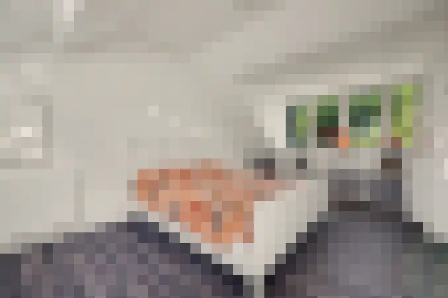 Gouverneurslaan 17 Geertruidenberg thumbnail 22
