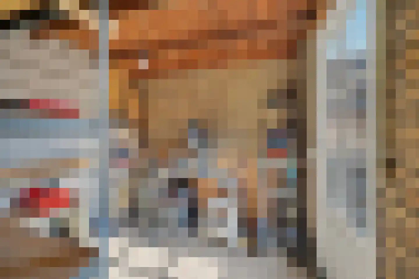 Gouverneurslaan 17 Geertruidenberg thumbnail 27