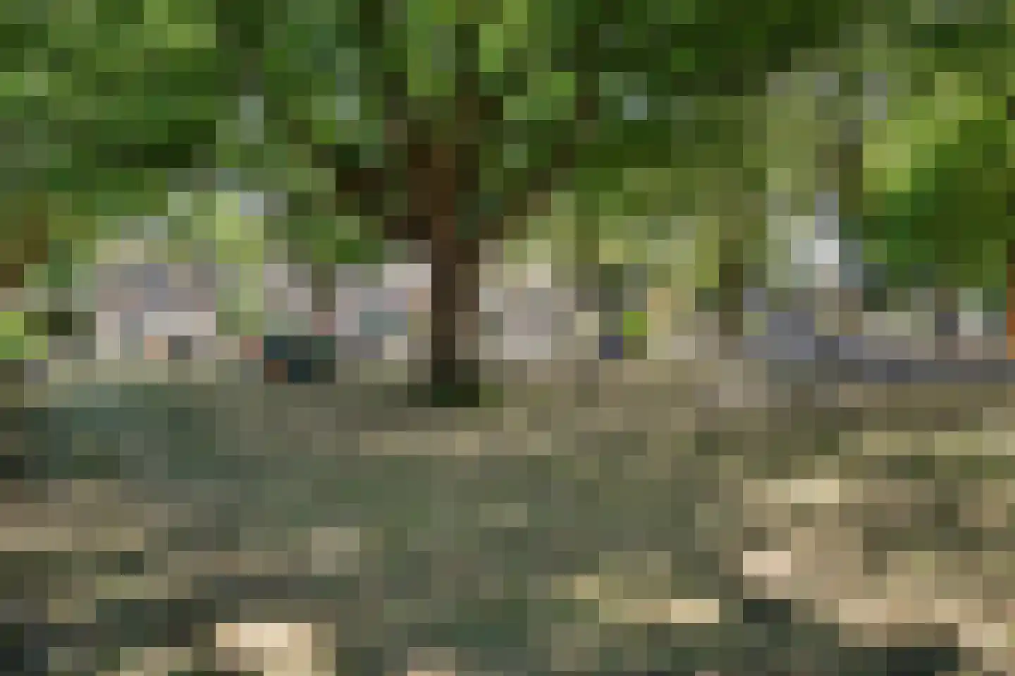 Gouverneurslaan 17 Geertruidenberg thumbnail 34