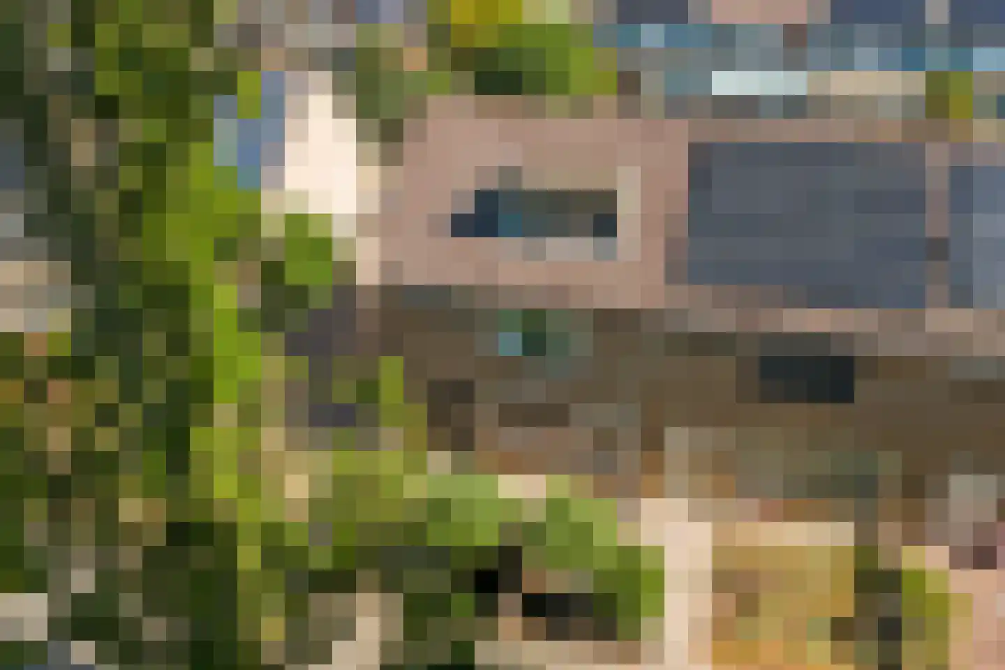 Gouverneurslaan 17 Geertruidenberg thumbnail 38