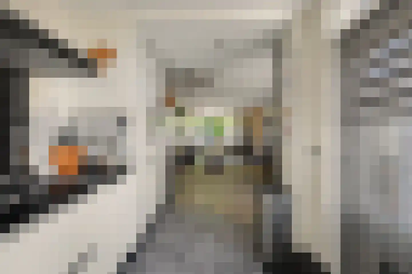 Gouverneurslaan 17 Geertruidenberg thumbnail 8