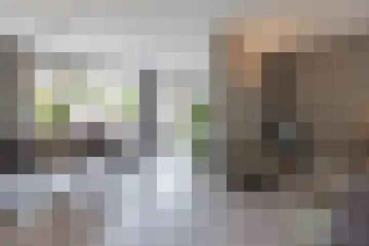 Gouverneurslaan 29 Geertruidenberg thumbnail 10