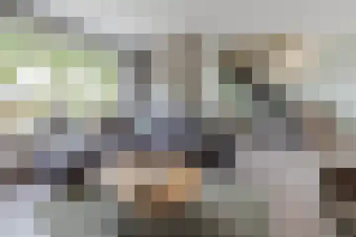 Gouverneurslaan 29 Geertruidenberg thumbnail 14