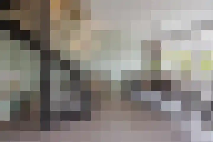 Gouverneurslaan 29 Geertruidenberg thumbnail 16