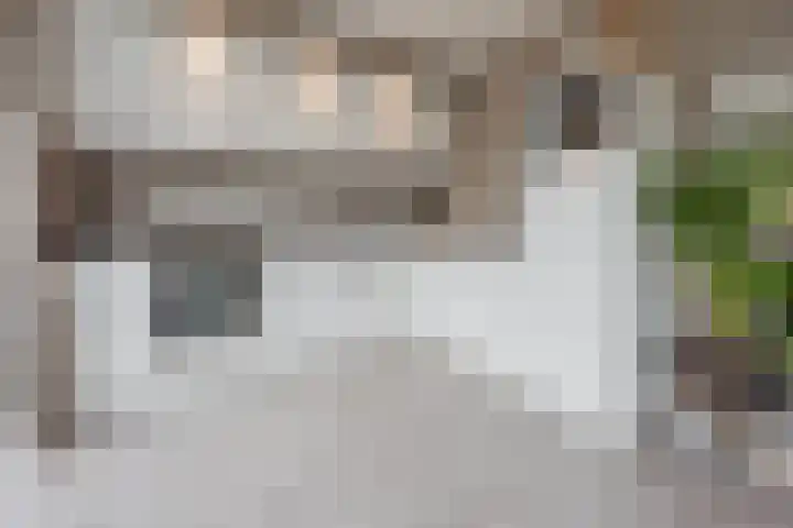 Gouverneurslaan 29 Geertruidenberg thumbnail 17