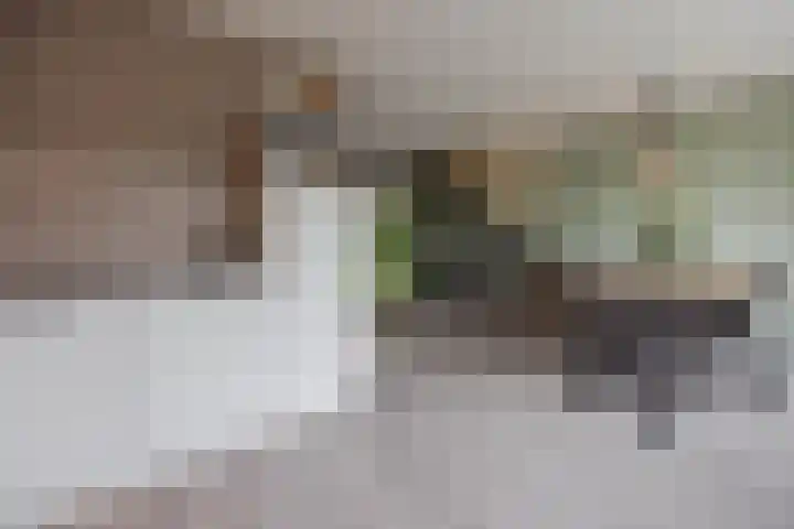 Gouverneurslaan 29 Geertruidenberg thumbnail 19