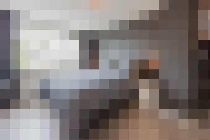 Gouverneurslaan 29 Geertruidenberg thumbnail 27