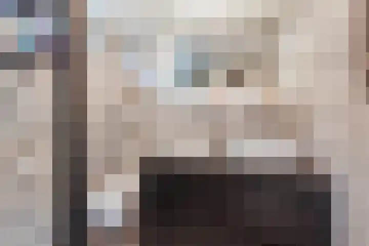 Gouverneurslaan 29 Geertruidenberg thumbnail 31