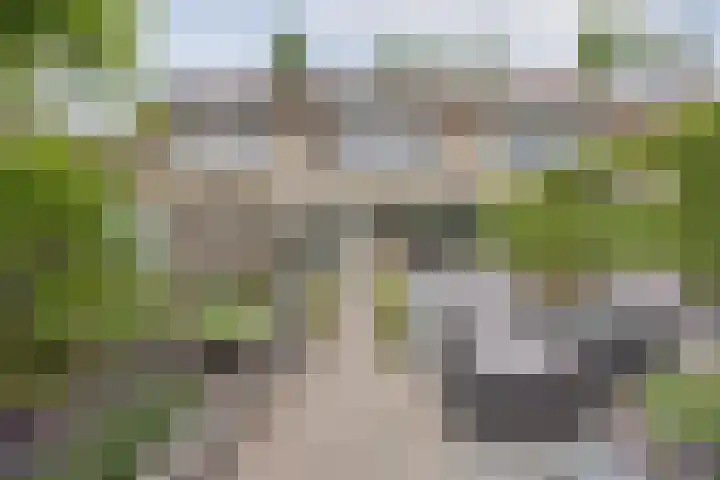Gouverneurslaan 29 Geertruidenberg thumbnail 40