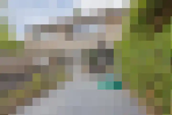 Gouverneurslaan 29 Geertruidenberg thumbnail 41