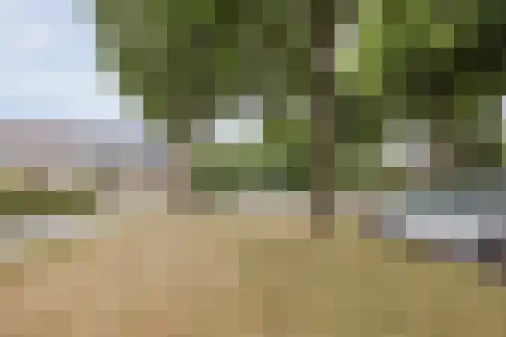 Gouverneurslaan 29 Geertruidenberg thumbnail 47