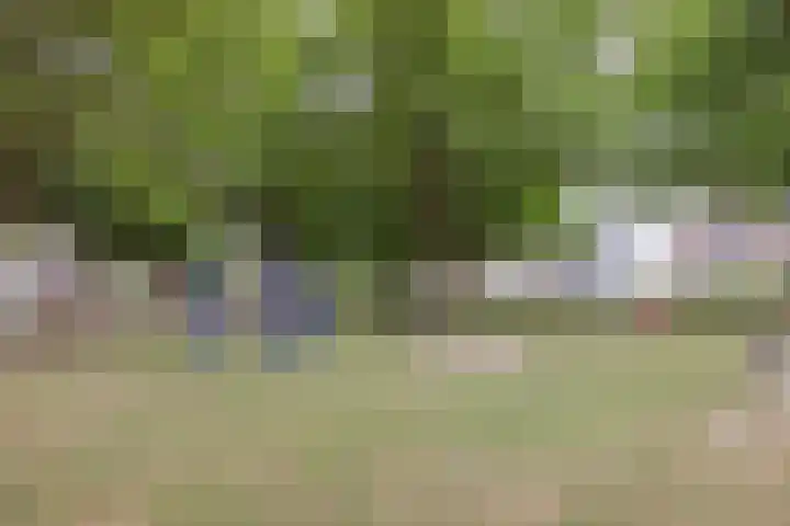 Gouverneurslaan 29 Geertruidenberg thumbnail 48