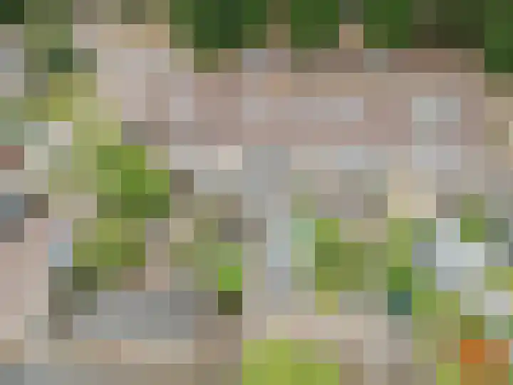 Gouverneurslaan 29 Geertruidenberg thumbnail 5