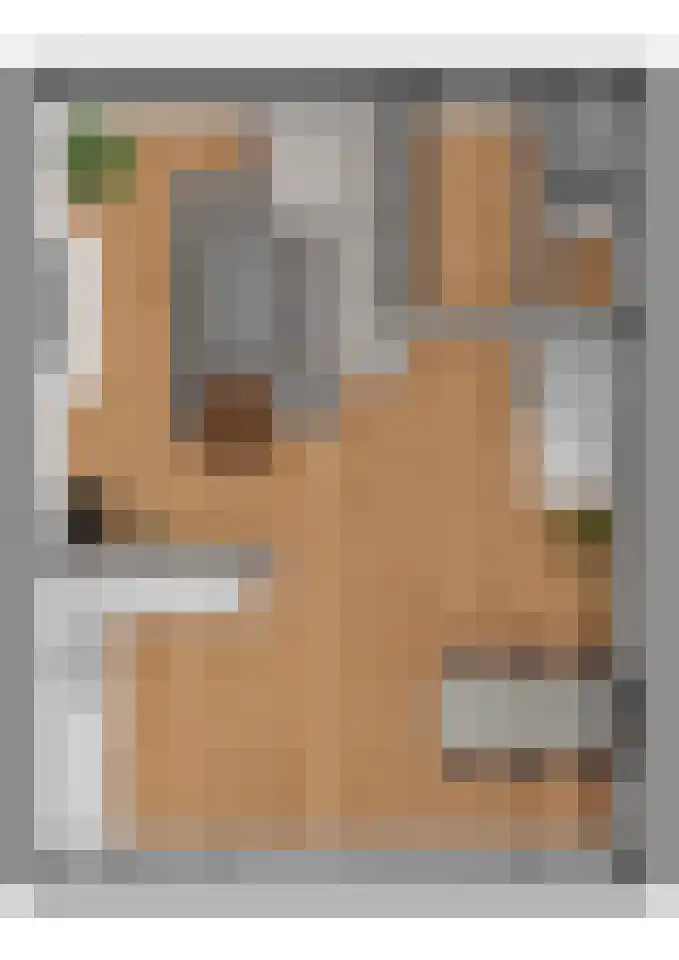 Gouverneurslaan 29 Geertruidenberg thumbnail 52
