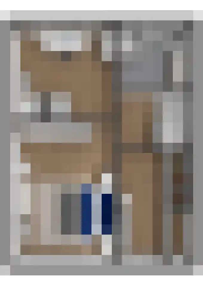 Gouverneurslaan 29 Geertruidenberg thumbnail 55