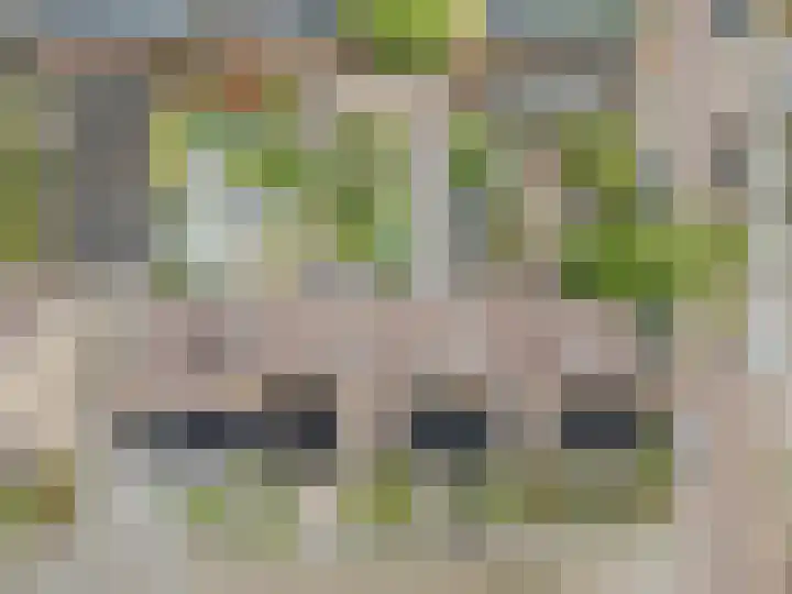 Gouverneurslaan 29 Geertruidenberg thumbnail 8