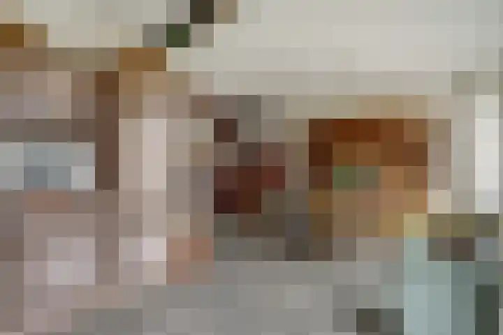 Gouverneurslaan 47 Geertruidenberg thumbnail 10