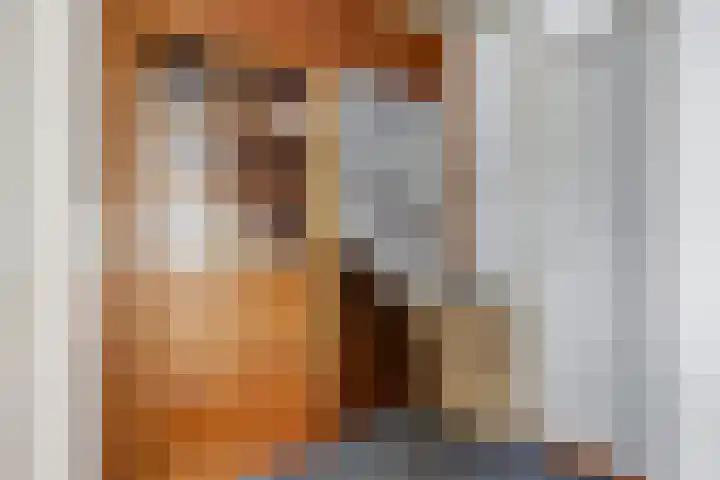 Gouverneurslaan 47 Geertruidenberg thumbnail 11