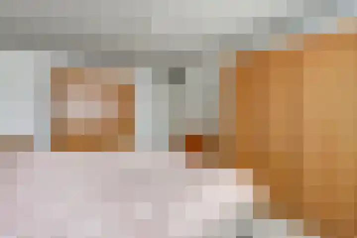 Gouverneurslaan 47 Geertruidenberg thumbnail 13