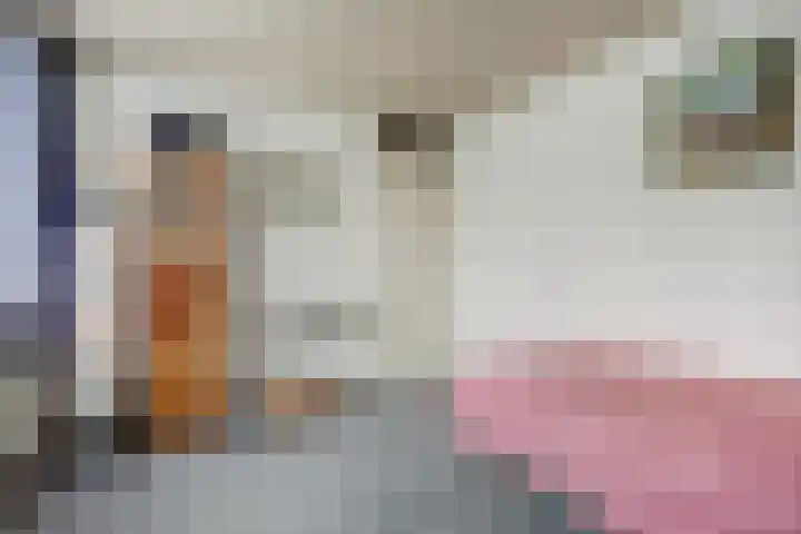 Gouverneurslaan 47 Geertruidenberg thumbnail 15