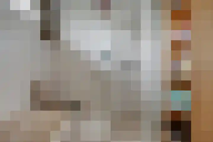 Gouverneurslaan 47 Geertruidenberg thumbnail 19