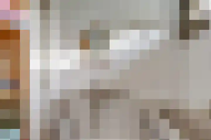 Gouverneurslaan 47 Geertruidenberg thumbnail 20