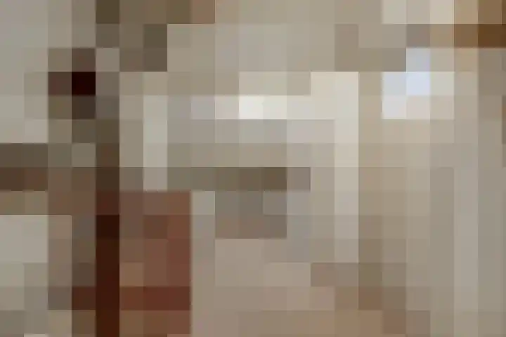 Gouverneurslaan 47 Geertruidenberg thumbnail 21