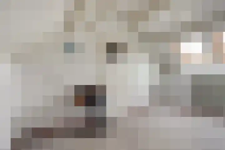 Gouverneurslaan 47 Geertruidenberg thumbnail 23