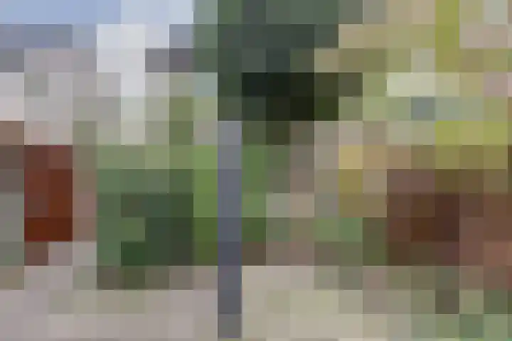 Gouverneurslaan 47 Geertruidenberg thumbnail 29