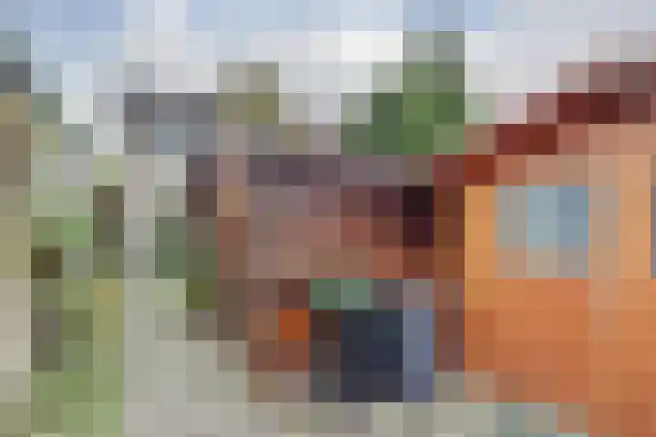 Gouverneurslaan 47 Geertruidenberg thumbnail 31