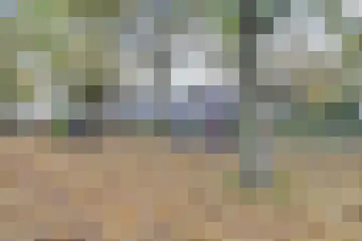 Gouverneurslaan 47 Geertruidenberg thumbnail 34