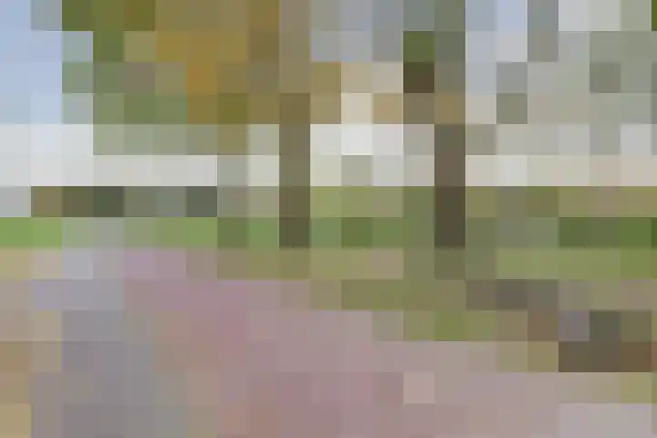 Gouverneurslaan 47 Geertruidenberg thumbnail 35