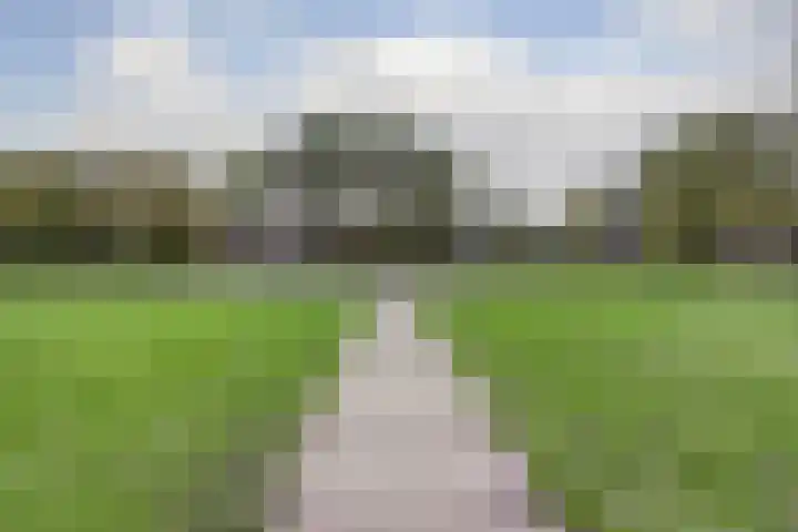 Gouverneurslaan 47 Geertruidenberg thumbnail 36