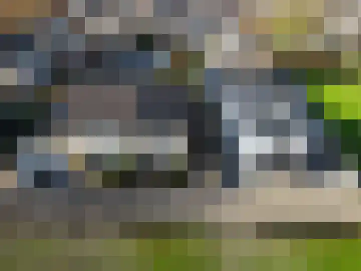 Gouverneurslaan 47 Geertruidenberg thumbnail 37