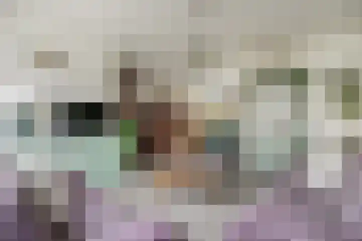 Gouverneurslaan 47 Geertruidenberg thumbnail 7