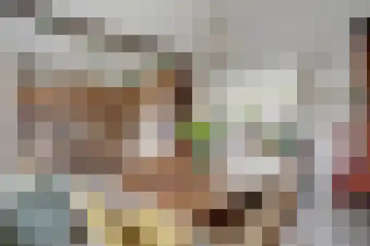 Gouverneurslaan 47 Geertruidenberg thumbnail 8
