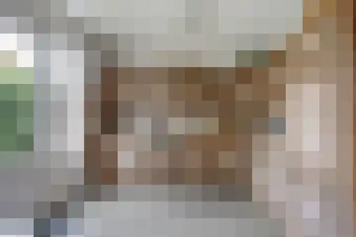 Gouverneurslaan 47 Geertruidenberg thumbnail 9